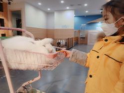 -Moni星球萌宠·小马宝莉·灵蛇·高端高阶全萌宠互动体验俱乐部(红豆国际广场店)
