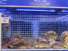 -开海·红岛海鲜虾水饺(石老人店)
