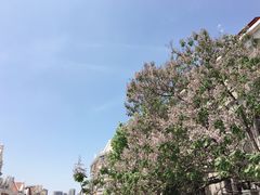 -青岛天主教堂(市南区)