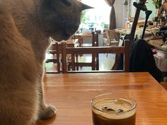 冰博克拿铁-映画咖啡