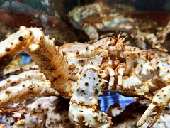 -好上好叶记海鲜舫(丰庆公园店)