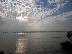 -宝安西湾红树林湿地公园