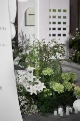 -拓美婚礼·私人订制