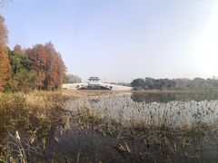 -东湖落雁景区