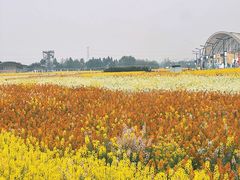 -中国天府农业博览园