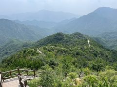 -大岭沟猕猴桃谷风景区