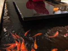 -月龍吟(朝龙汇店)