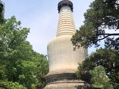 -北京鹫峰国家森林公园