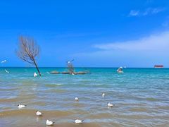 -青海湖二郎剑景区