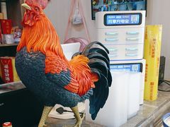 -食鸡公社辣子鸡·潍坊菜·烧烤