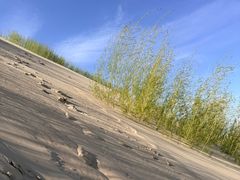 -玉龙沙湖景区