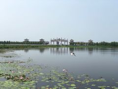 -呼兰河口湿地公园