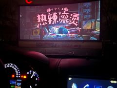 -枫花园汽车电影院(朝阳公园店)