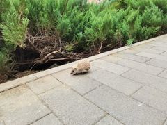 -长辛店二七公园