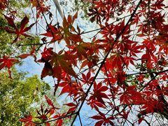 -西郊宾馆·1921餐厅