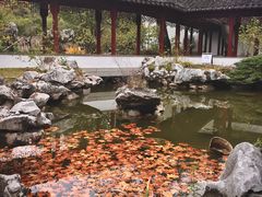 -采石矶景区