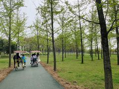 -洨河生态公园