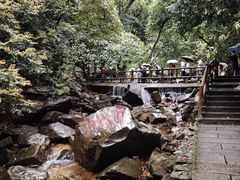 -鼎湖山风景区
