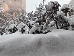 -北海道札幌格兰大酒店