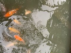-上海方塔园