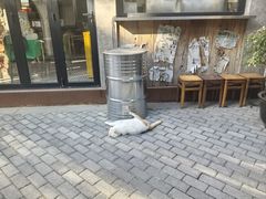 -老外街