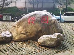 -武汉大学-樱园