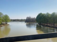 -上海海湾国家森林公园