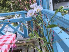 -望庐说·本地菜馆