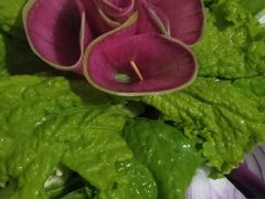 -水库活鱼馆(于桥水库店)