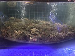 -福禧荟·海鲜自助