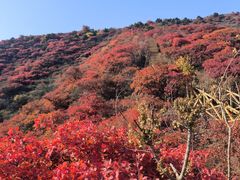 -水峪民俗村