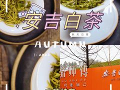 -正源安吉白茶特产享购商场(安吉店)