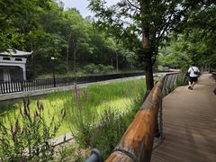 -白水寺森林公园