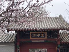 -桃花堤公园