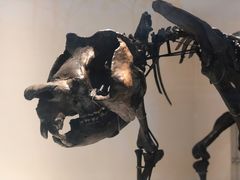 -墨尔本博物馆(Melbourne Museum)