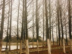 景点-梁鸿国家湿地公园