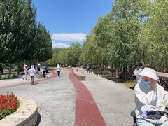 -丁香湖公园