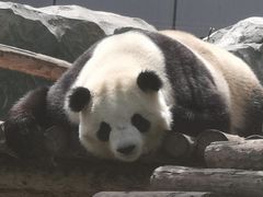 -青藏高原野生动物园