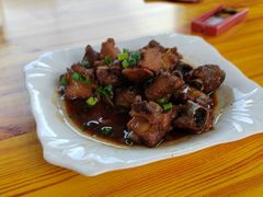 -百丈农家