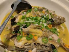 鱼杂煲-毛家湾公馆(东圃店)