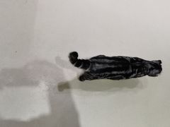 -藏猫猫咖啡主题馆(中央大道店)