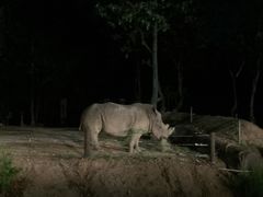 -清迈夜间动物园