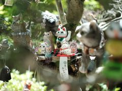 -野宫神社