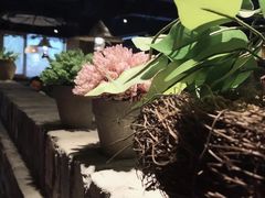 -井水小厨·湘菜(活力广场店)