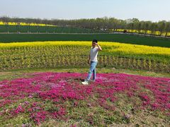 -兰陵国家农业公园