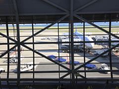-全日本空输株式会社(上海办事处)