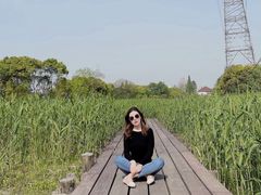 -长田漾湿地公园