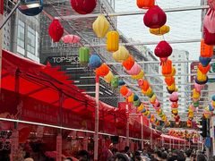 -越秀西湖花市(广州城市广场花卉店)