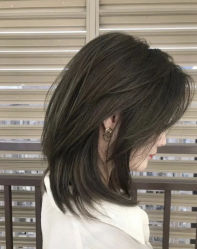 -蚂蚁造型俱乐部