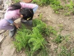 -源香农宝·亲子采摘·钓虾·科普研学